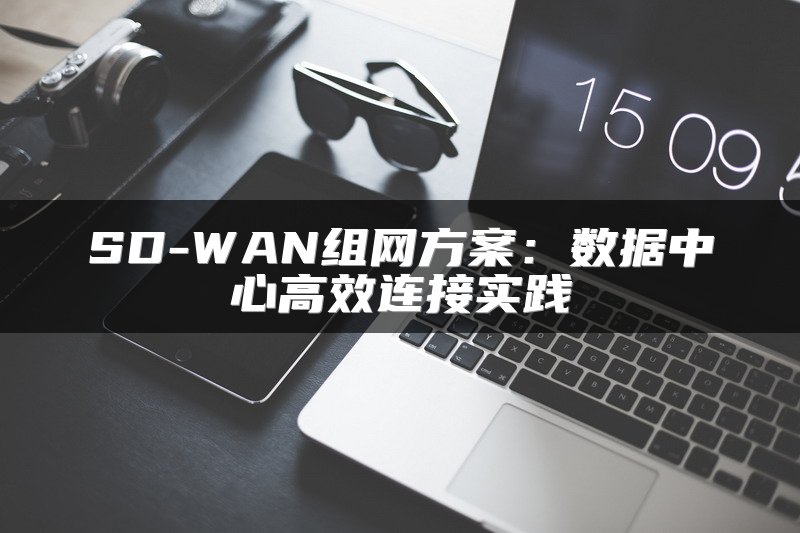 IT技术专家：SD-WAN跨境网络专线应用场景解析