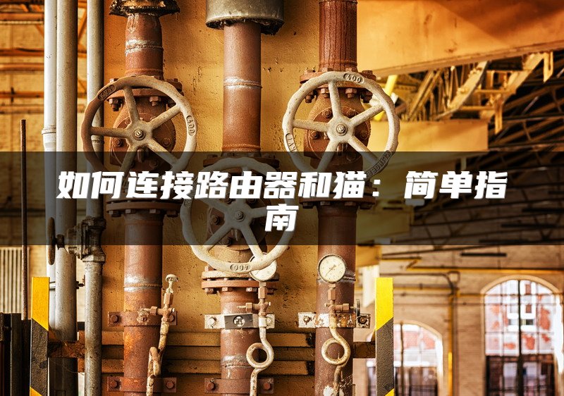 如何连接路由器和猫：简单指南