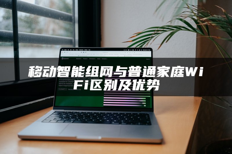 IT技术专家解释VPN及对SD-WAN的影响