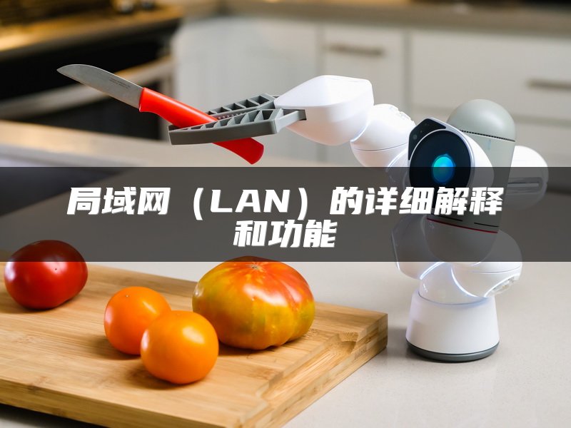 局域网（LAN）的详细解释和功能