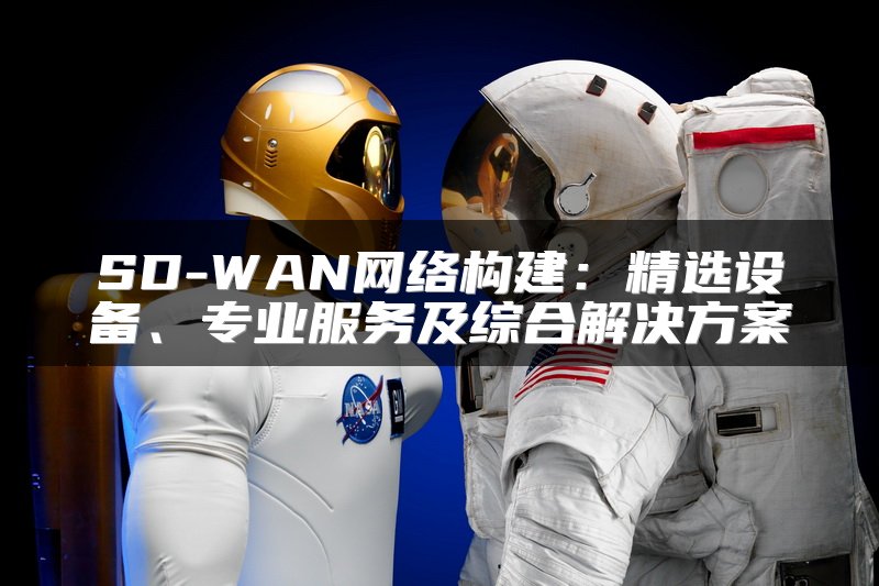 SD-WAN网络构建：精选设备、专业服务及综合解决方案
