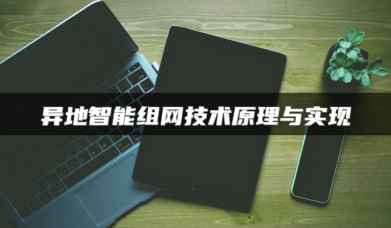 异地智能组网技术原理与实现