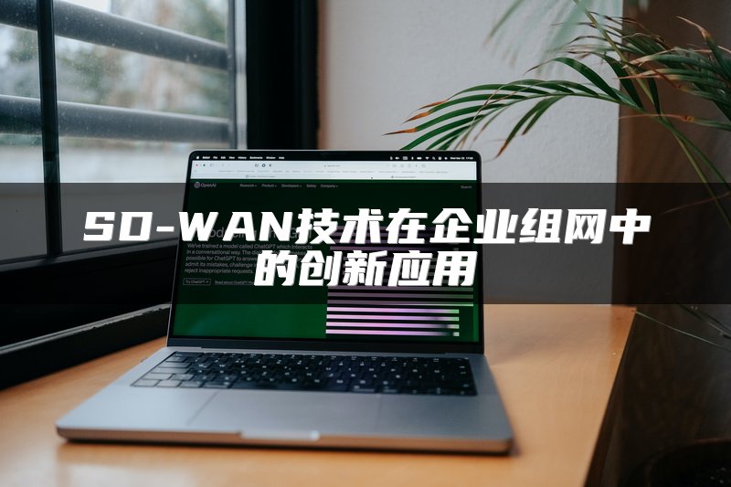 SD-WAN技术在企业组网中的创新应用