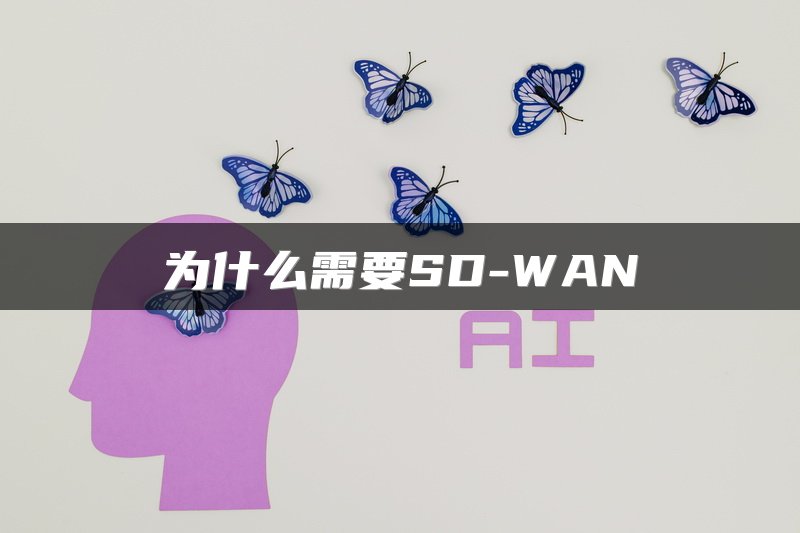 为什么需要SD-WAN