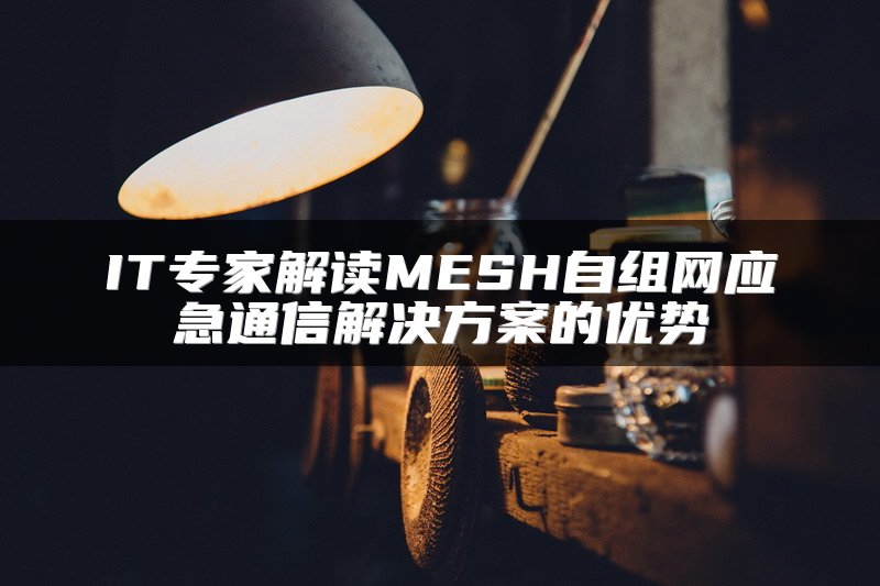 IT专家解读MESH自组网应急通信解决方案的优势