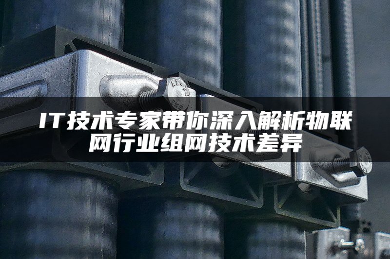 IT技术专家带你深入解析物联网行业组网技术差异