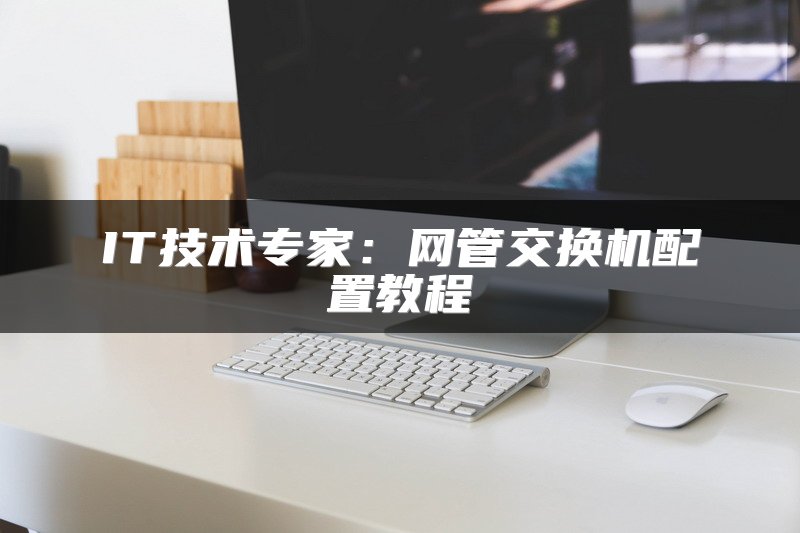 IT技术专家：网管交换机配置教程