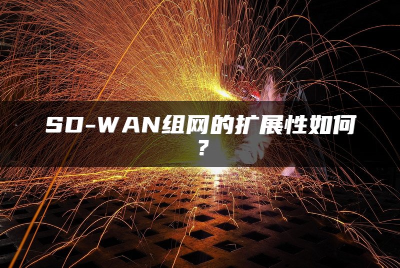 SD-WAN组网的扩展性如何？