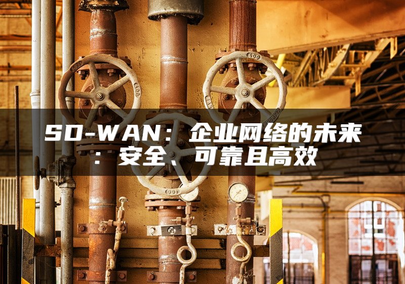 IT技术专家深度解析：锐捷IO-WAN解决方案亮相，SD-WAN虚拟化技术大放异彩