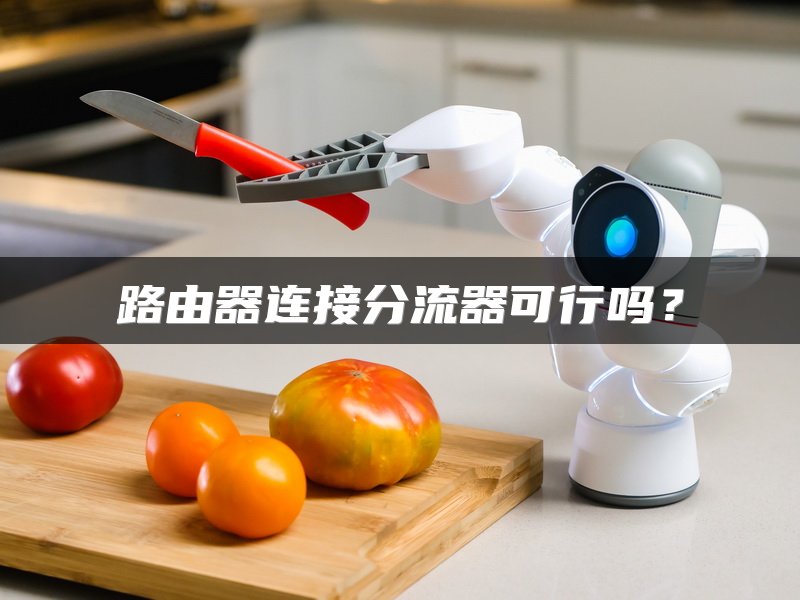 路由器连接分流器可行吗？