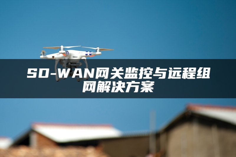 SD-WAN网关监控与远程组网解决方案