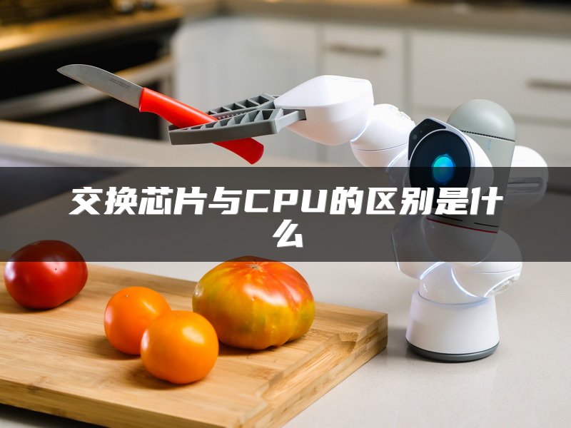 交换芯片与CPU的区别是什么