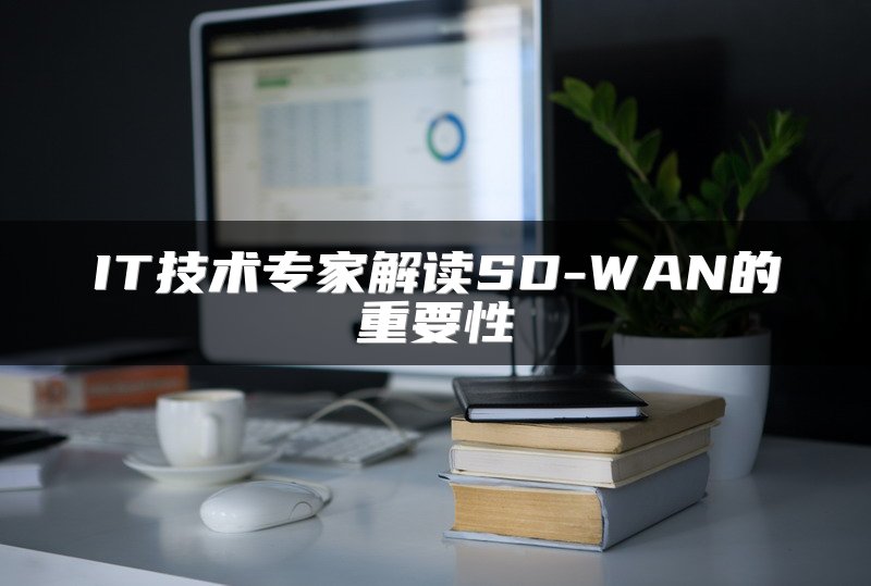 IT技术专家解读SD-WAN的重要性