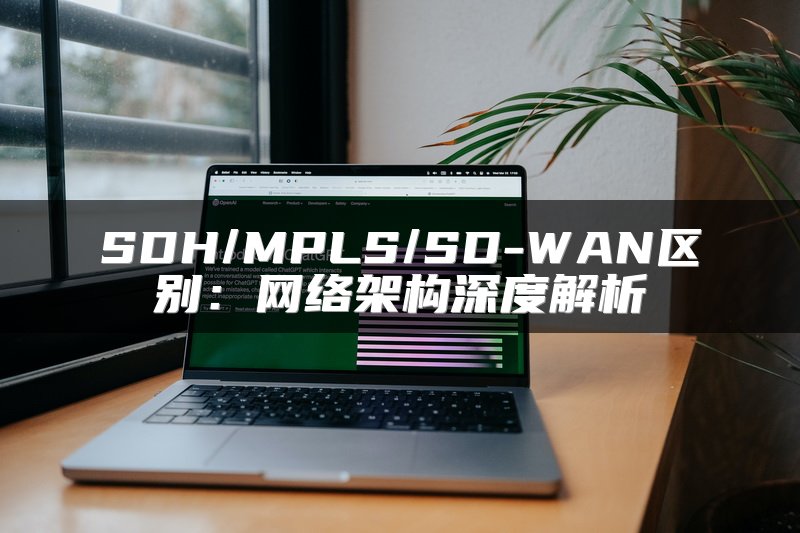 SDH/MPLS/SD-WAN区别：网络架构深度解析