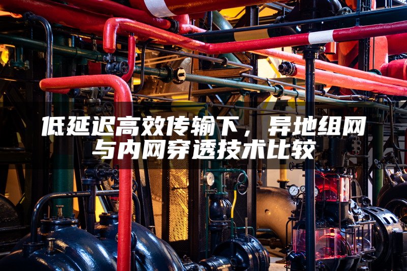 低延迟高效传输下，异地组网与内网穿透技术比较