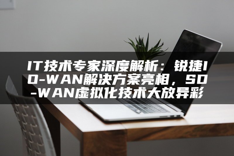 IT技术专家深度解析：锐捷IO-WAN解决方案亮相，SD-WAN虚拟化技术大放异彩