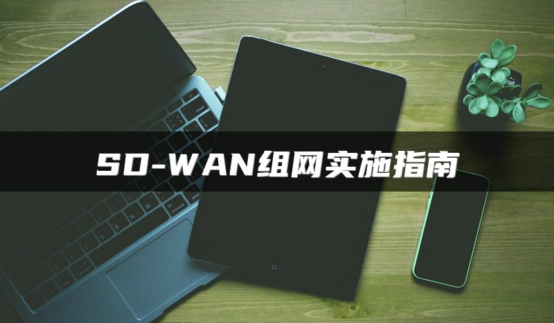 SD-WAN组网实施指南