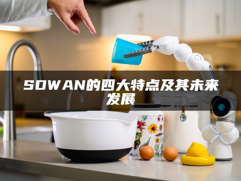 SDWAN的四大特点及其未来发展