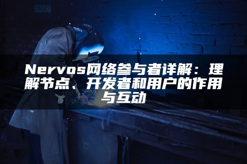 Nervos网络参与者详解：理解节点、开发者和用户的作用与互动