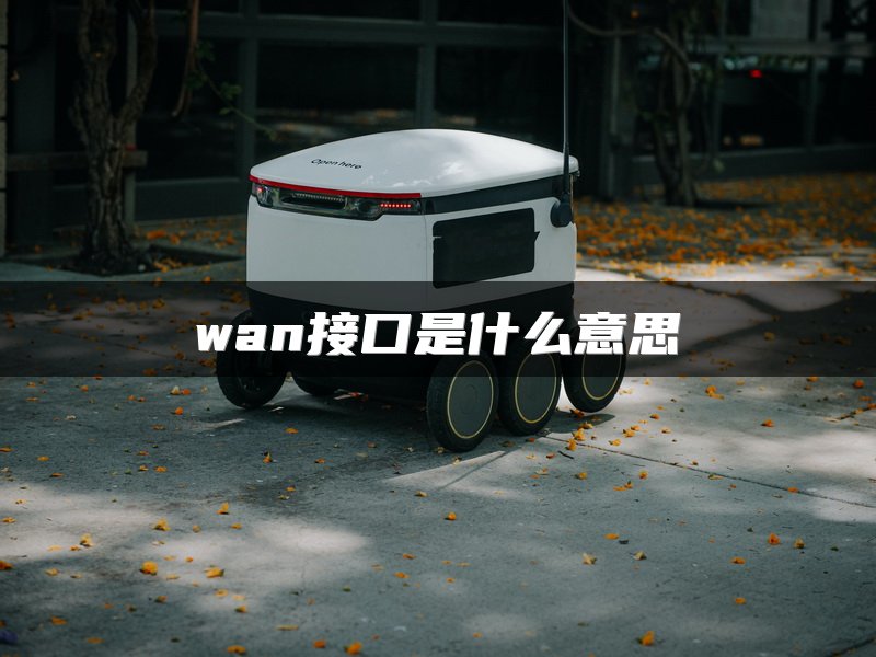 wan接口是什么意思