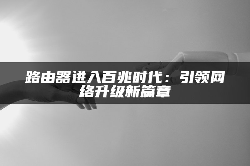 路由器进入百兆时代：引领网络升级新篇章