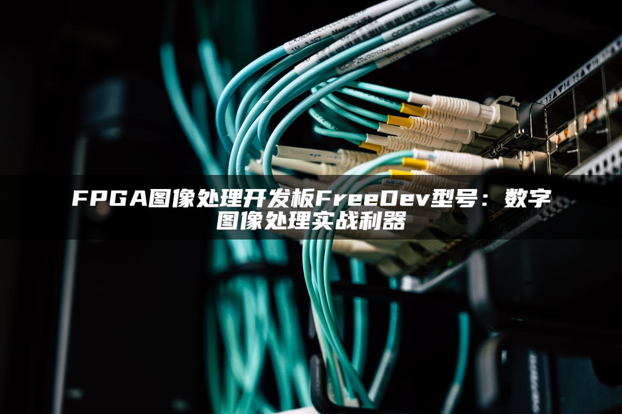 FPGA图像处理开发板FreeDev型号：数字图像处理实战利器