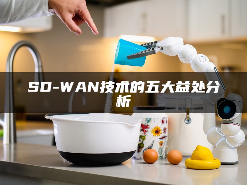 SD-WAN技术的五大益处分析