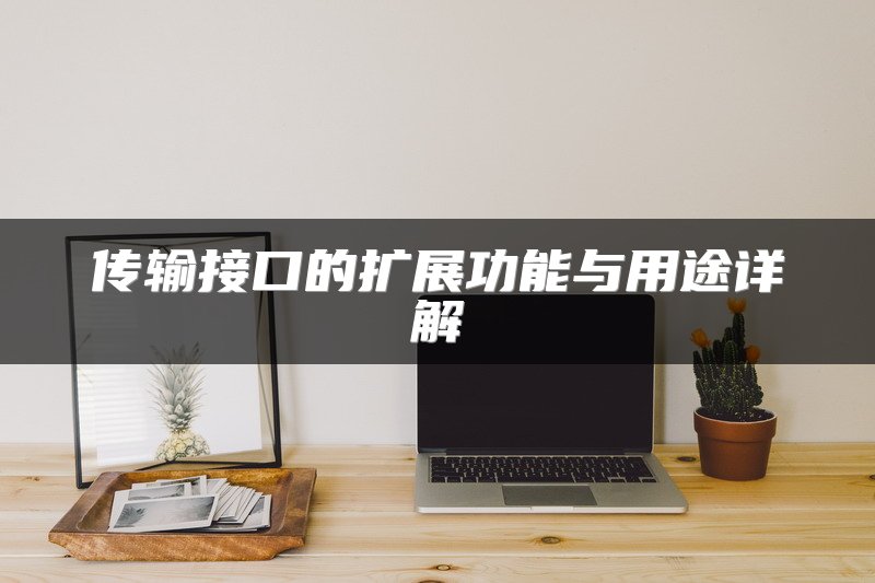 传输接口的扩展功能与用途详解