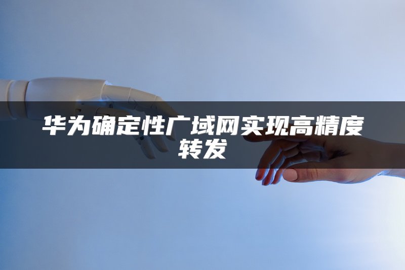 华为确定性广域网实现高精度转发