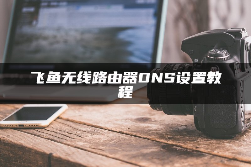 飞鱼无线路由器DNS设置教程