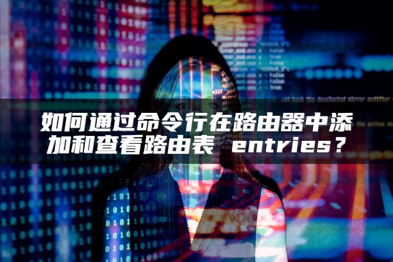 如何通过命令行在路由器中添加和查看路由表 entries？