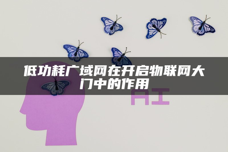 低功耗广域网在开启物联网大门中的作用