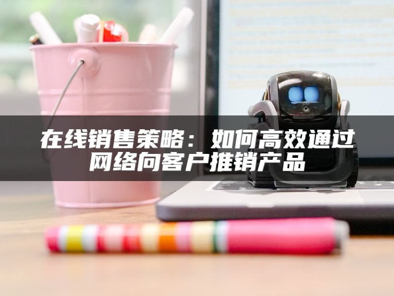 在线销售策略：如何高效通过网络向客户推销产品