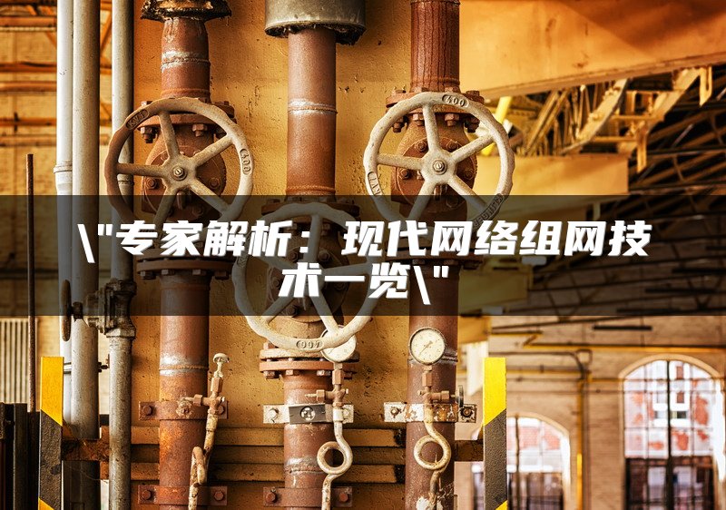 专家解析：现代网络组网技术一览