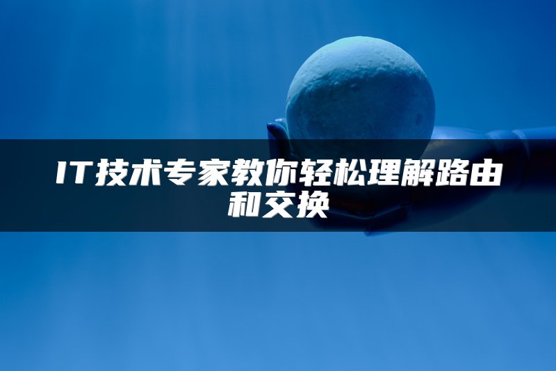 IT技术专家教你轻松理解路由和交换
