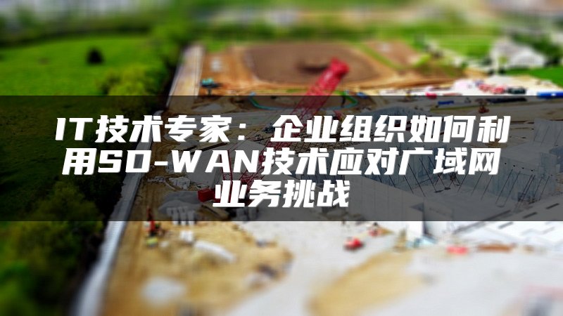 IT技术专家：企业组织如何利用SD-WAN技术应对广域网业务挑战