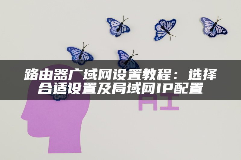 路由器广域网设置教程：选择合适设置及局域网IP配置