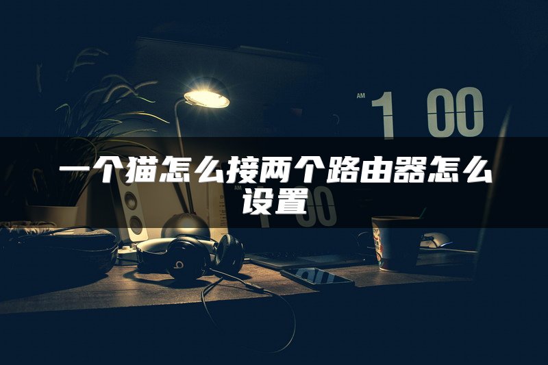 一个猫怎么接两个路由器怎么设置