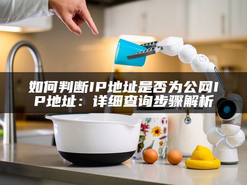如何判断IP地址是否为公网IP地址：详细查询步骤解析