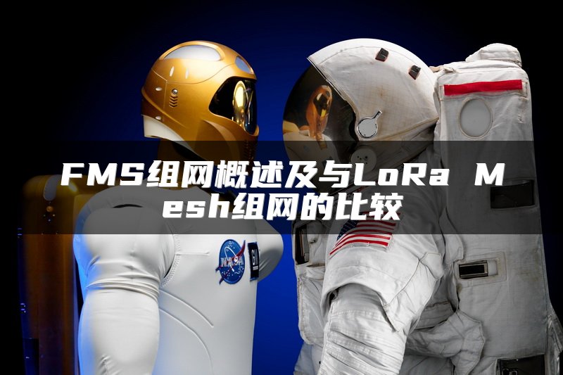 FMS组网概述及与LoRa Mesh组网的比较