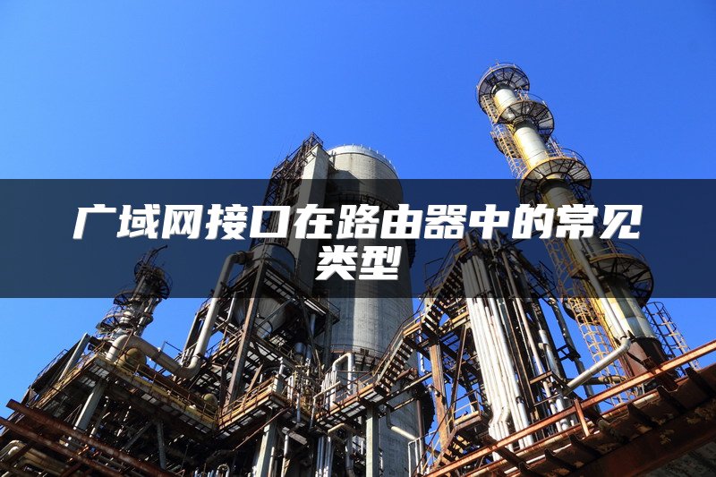 广域网接口在路由器中的常见类型