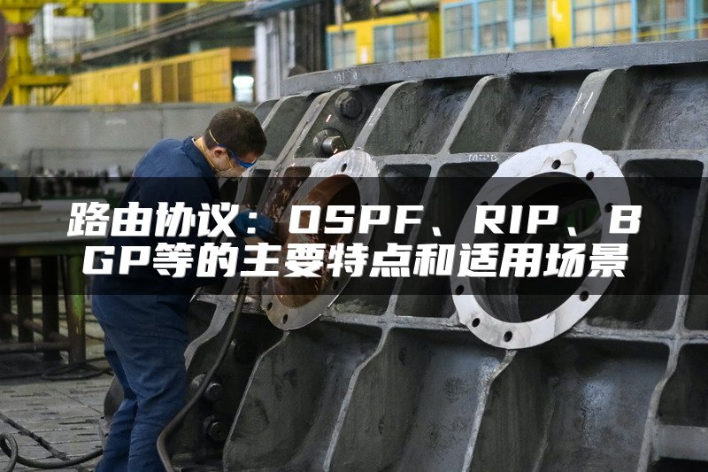 路由协议：OSPF、RIP、BGP等的主要特点和适用场景