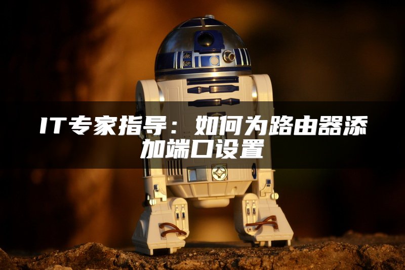 IT专家指导：如何为路由器添加端口设置