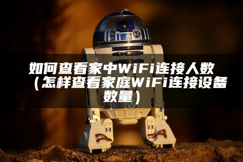 如何查看家中WiFi连接人数（怎样查看家庭WiFi连接设备数量）