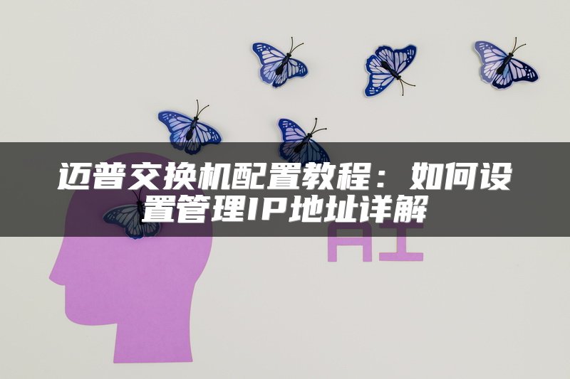迈普交换机配置教程：如何设置管理IP地址详解