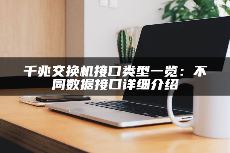 千兆交换机接口类型一览：不同数据接口详细介绍