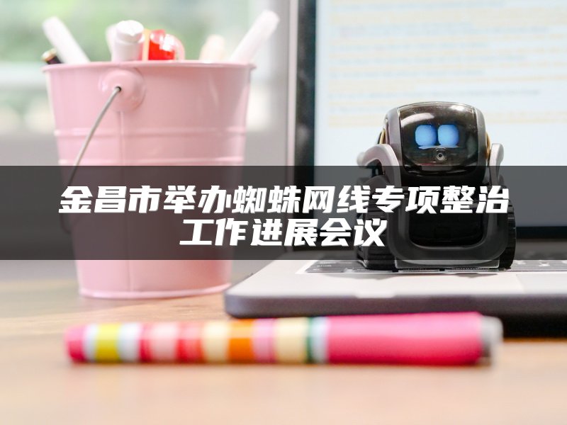 金昌市举办蜘蛛网线专项整治工作进展会议