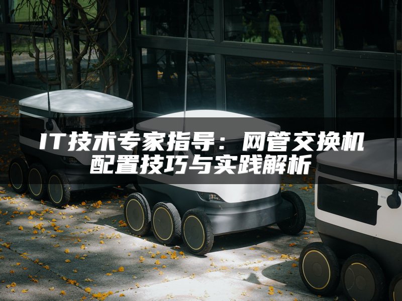 IT技术专家指导：网管交换机配置技巧与实践解析