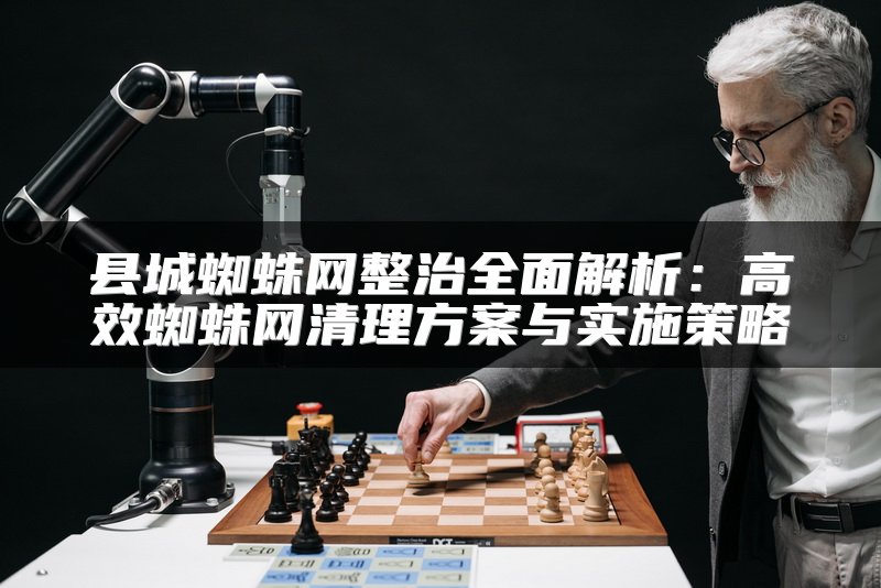 县城蜘蛛网整治全面解析：高效蜘蛛网清理方案与实施策略