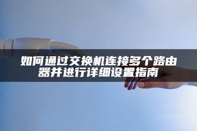 如何通过交换机连接多个路由器并进行详细设置指南